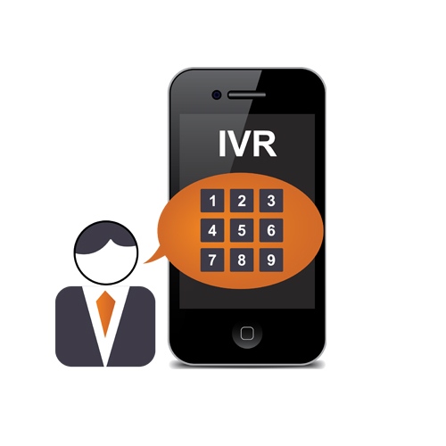 IVR Service Provider